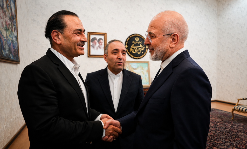 تهران: سفر عاصم منیر «بسیار ثمربخش» بود